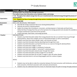 Section 3 2 energy flow answer key pdf