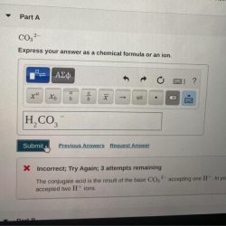 Express your answer as an ion