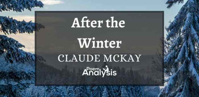 After the winter claude mckay analysis