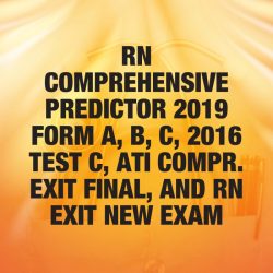 Rn fundamentals online practice 2019 b with ngn