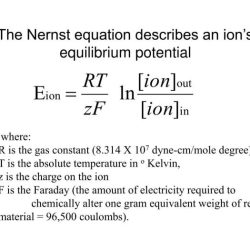 Nernst potential equilibrium na equation membrane resting sodium ion eq