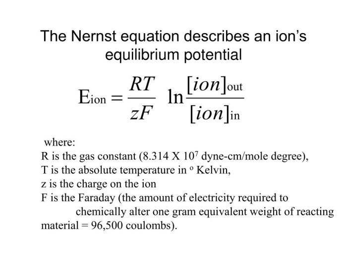 Nernst potential equilibrium na equation membrane resting sodium ion eq